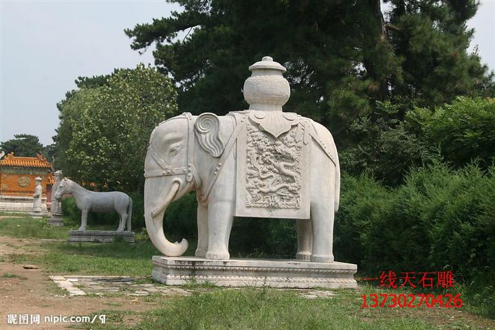 石雕大象 石雕象 石雕小象 曲阳石雕大象 河北石雕大象 景观象 