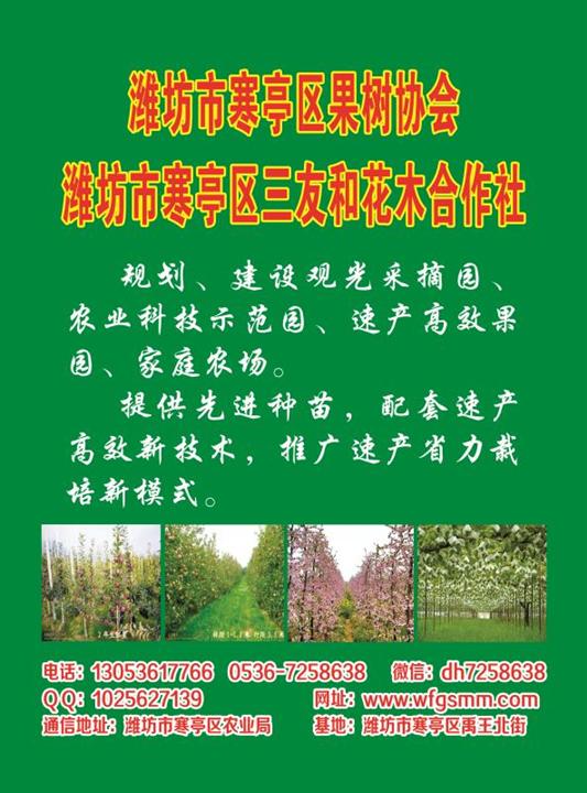 潍坊市寒亭区三友和花木合作社 