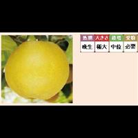 甘 太 ＫＡＮＴＡ 