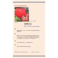 红宝石甜苹果品种介绍 