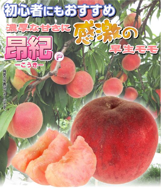 友和桃６号（桃水－ 昂紀） 