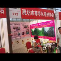 果树展销会 