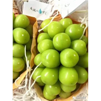 阳光玫瑰 