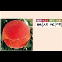 黄貴妃 