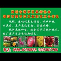 潍坊市寒亭区三友和花木合作社 