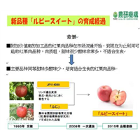 莱芜打井队