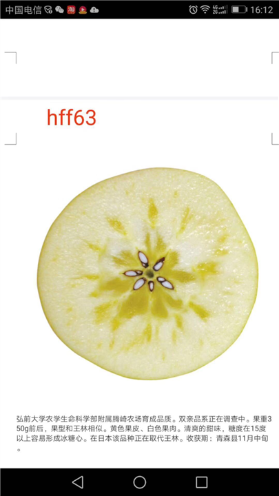 HF63 