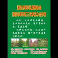 潍坊市寒亭区三友和花木合作社 