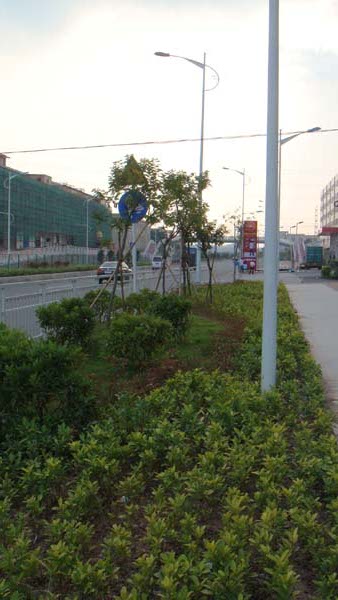 05广东园林景观工程队 