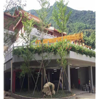 深圳寺庙绿化施工案例展示 