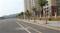 萝岗联和东南路-广东绿化/园林工程/广东园林/园林景观