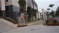 广东工程队-萝岗新法院/广东绿化/绿化工程/园林景观01