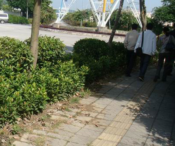 东鹏大道-园林绿化工程/广东园林设计公司