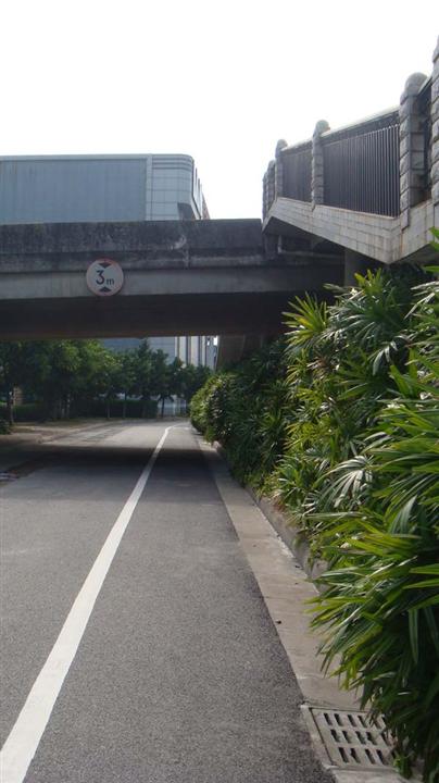 广东绿化-萝岗保盈大道/绿化工程/广东园林景观03