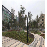 广东省深圳市深圳园林景观工程找绿化施工队