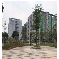 深圳园林景观公司-正雅园林景观公司 