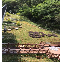 深圳寺庙园林景观案例展示
