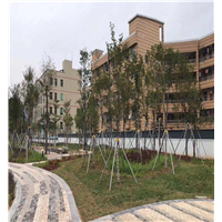 深圳公园施工案例【园林景观施工队】 