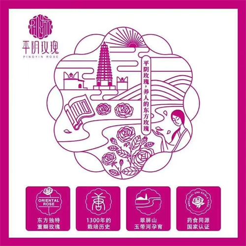 大马士革玫瑰苗