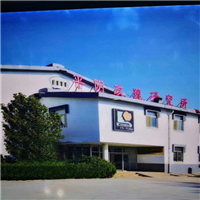 山东四季玫瑰苗