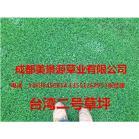 成都草坪价格$成都草皮价格$成都苗木价格