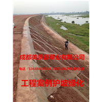 成都草坪批发#成都草皮批发#成都苗木批发