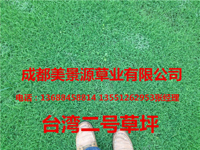 成都草坪价格$成都草皮价格$成都苗木价格