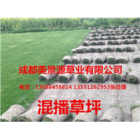 成都草坪价格$成都草皮价格$成都苗木价格