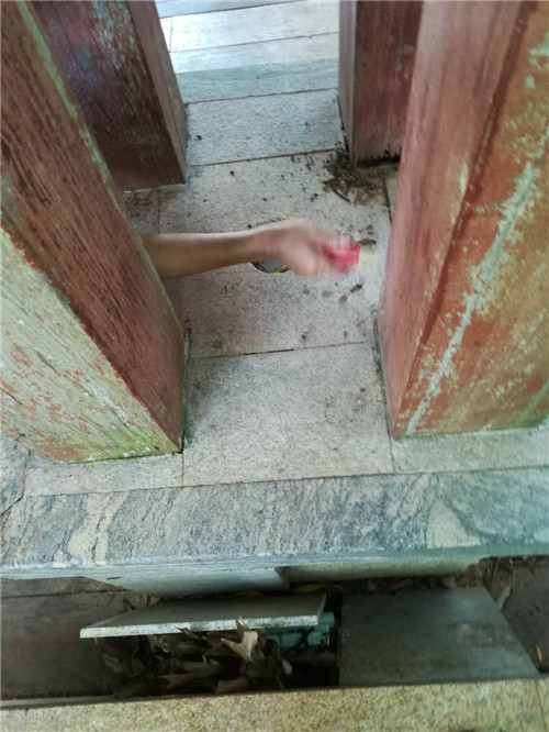 三亚白蚁电话多少