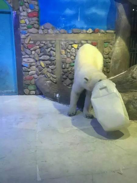 成都泡沫雕塑厂、成都泡沫