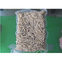 兴宁竹虫养殖 
