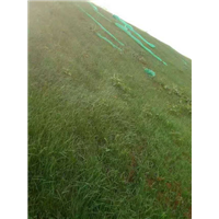 边坡防护网|边坡防护公司