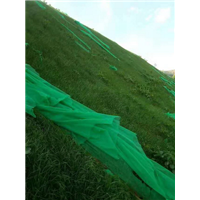 坡面植草|边坡绿化