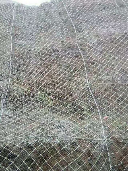 高速边坡防护施工|坡面植草