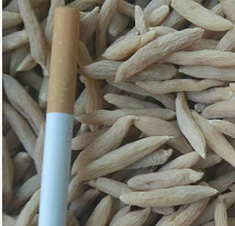 麦冬药材
