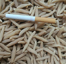 麦冬药材