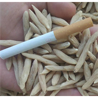 麦冬药材