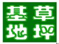 安徽草坪-皖东草坪-草坪基地 
