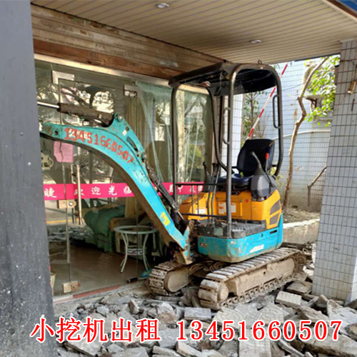 湖州微型小挖机出租 