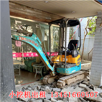 湖州微型小挖机出租 