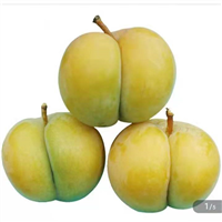贵州蜂糖李代办