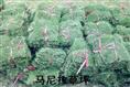 广西马尼拉草坪=韶关马尼拉草坪=贵州马尼拉草坪=湖南草坪 
