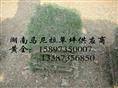 今日草皮价格——每捆马尼拉草皮多少钱/ 