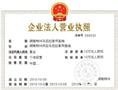 供应优质马尼拉草坪图3/湖南郴州马尼拉草坪基地/郴州马尼拉草坪基地/湖南马尼拉草坪基地
