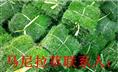 广东草坪--江西草坪价格--云南草皮图--郴州草皮基地 