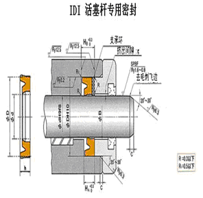 IDI活塞杆专用密封件 