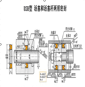 NOK品牌密封圈 CU3248-K0  12*20*5  USH活塞密封 