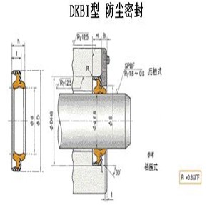 DKBI往复运动防尘 