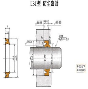 LBI往复运动防尘 
