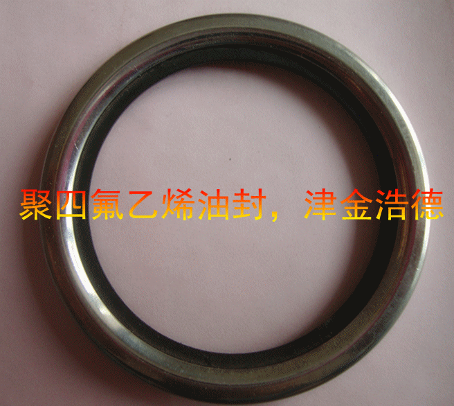 供应聚四氟乙烯油封、双弹簧油封 